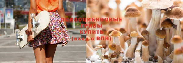 прущий лед Алексеевка