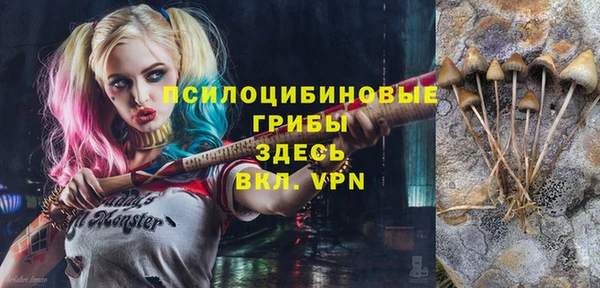 амфетамин Алексин