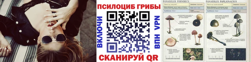 Псилоцибиновые грибы GOLDEN TEACHER  Курганинск 