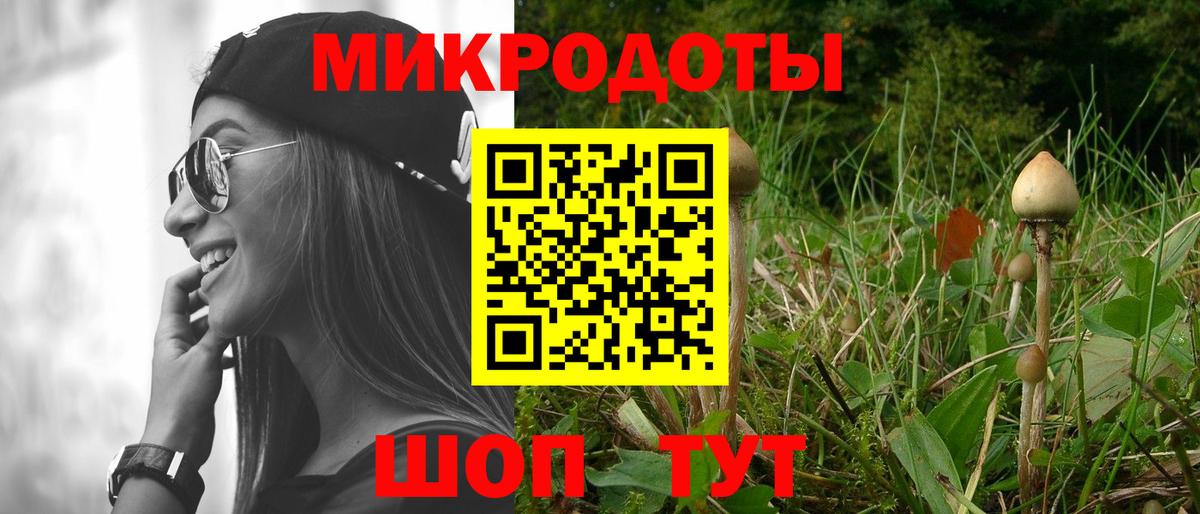 Галлюциногенные грибы Psilocybine cubensis  Вход с VPN  Псилоцибиновые грибы Psilocybine cubensis  Курганинск 