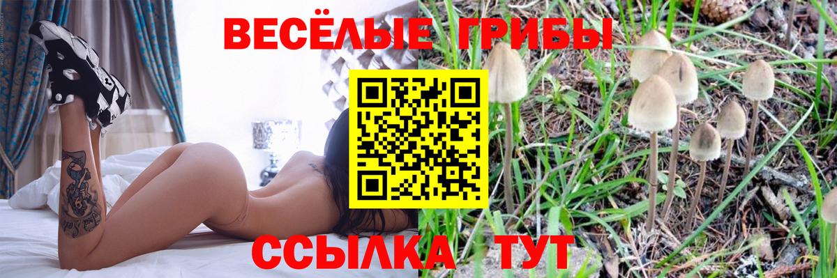 Галлюциногенные грибы мицелий Курганинск